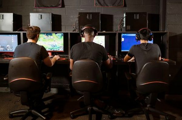 tải game Sodo web